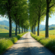 Chemin rural en France avec arbres et fleurs sauvages
